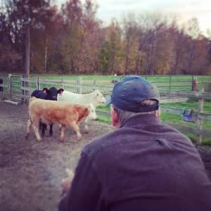 10599629_10154765728855088_2973567789856918954_n