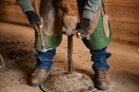 Travis Shoeing stand 03-2016